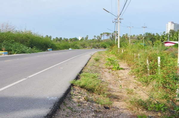 ขายที่ดิน 6-01-13 ไร่ ใกล้หาดคลองเทียน ชะอำ เพียง 400 เมตร และที่ดินติดคลอง ออกสู่ทะเล เพียง 400 เมตร ได้เลย