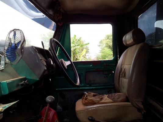 ขาย 6 ดั๊ม หัวยาวสวยๆครับ ขาย 6 ดั๊ม หัวยาวสวยๆครับ