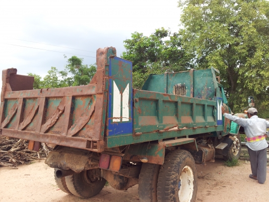 ขาย 6 ดั๊ม หัวยาวสวยๆครับ ขาย 6 ดั๊ม หัวยาวสวยๆครับ