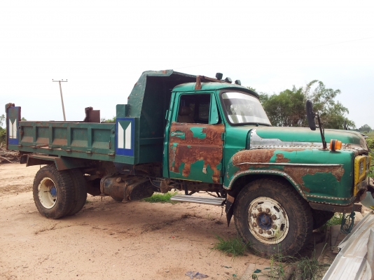 ขาย 6 ดั๊ม หัวยาวสวยๆครับ ขาย 6 ดั๊ม หัวยาวสวยๆครับ