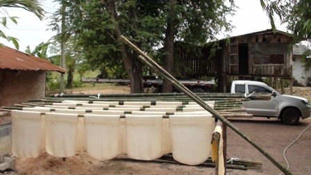 ขายบ้านและที่ดินสวนยางกรีดทำเงินได้แล้ว พร้อมเครื่องมือทำยางแผ่น