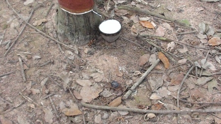 ขายบ้านและที่ดินสวนยางกรีดทำเงินได้แล้ว พร้อมเครื่องมือทำยางแผ่น