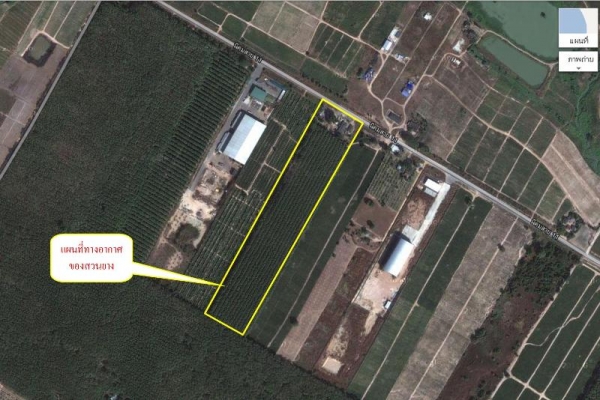 ขายบ้านและที่ดินสวนยางกรีดทำเงินได้แล้ว พร้อมเครื่องมือทำยางแผ่น