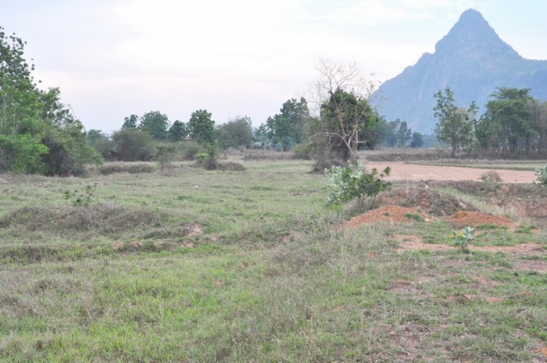 ขายถูกที่สุด ที่ดินเนื้อที่ 14-02-03 ไร่ เขตเขาย้อย บางเค็ม สามารถทำโรงงานอุตสาหกรรมได้ จ.เพชรบุรี