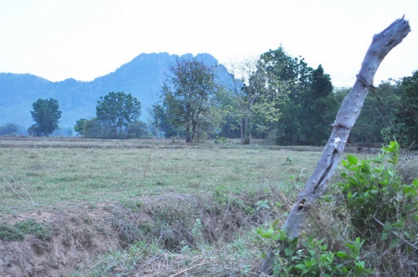 ขายถูกที่สุด ที่ดินเนื้อที่ 14-02-03 ไร่ เขตเขาย้อย บางเค็ม สามารถทำโรงงานอุตสาหกรรมได้ จ.เพชรบุรี