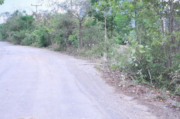 ขายถูกที่สุด ที่ดินเนื้อที่ 14-02-03 ไร่ เขตเขาย้อย บางเค็ม สามารถทำโรงงานอุตสาหกรรมได้ จ.เพชรบุรี