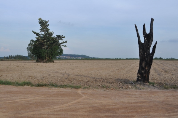 ขายที่ดินบนเนินเขาเห็นวิวตัวเมืองบ่อวินทั้งเมือง เนื้อที่ 36-02-96 ไร่