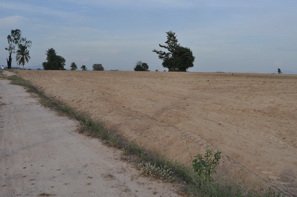 ขายที่ดินบนเนินเขาเห็นวิวตัวเมืองบ่อวินทั้งเมือง เนื้อที่ 36-02-96 ไร่