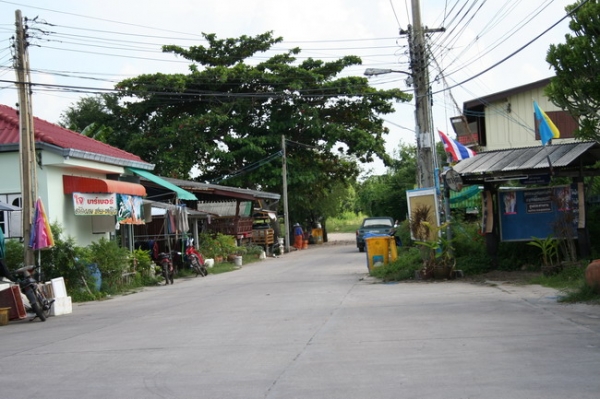 ขายที่ดินติดชายทะเล แห่งเดียวในบางแสน จ.ชลบุรี ขายที่ดินติดชายทะเล แห่งเดียวในบางแสน จ.ชลบุรี