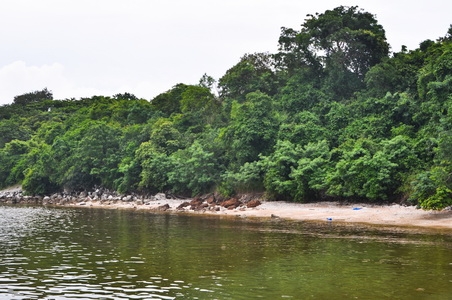 ขายที่ดินบนเนินเขาเนื้ออที่ 12-1-14 ไร่ ลาดลงสู่ชายทะเล และชายหาดส่วนตัว ใกล้ตัวเมืองศรีราชา จ.ชลบุรี ขายที่ดินบนเนินเขาเนื้ออที่ 12-1-14 ไร่ ลาดลงสู่ชายทะเล และชายหาดส่วนตัว ใกล้ตัวเมืองศรีราชา จ.ชลบุรี