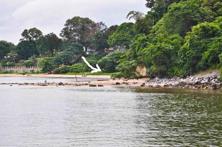 ขายที่ดินบนเนินเขาเนื้ออที่ 12-1-14 ไร่ ลาดลงสู่ชายทะเล และชายหาดส่วนตัว ใกล้ตัวเมืองศรีราชา จ.ชลบุรี