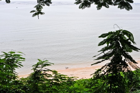 ขายที่ดินบนเนินเขาเนื้ออที่ 12-1-14 ไร่ ลาดลงสู่ชายทะเล และชายหาดส่วนตัว ใกล้ตัวเมืองศรีราชา จ.ชลบุรี ขายที่ดินบนเนินเขาเนื้ออที่ 12-1-14 ไร่ ลาดลงสู่ชายทะเล และชายหาดส่วนตัว ใกล้ตัวเมืองศรีราชา จ.ชลบุรี