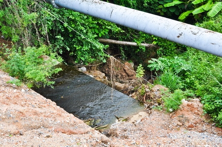 ขายที่ดินบนเนินเขาเนื้ออที่ 12-1-14 ไร่ ลาดลงสู่ชายทะเล และชายหาดส่วนตัว ใกล้ตัวเมืองศรีราชา จ.ชลบุรี ขายที่ดินบนเนินเขาเนื้ออที่ 12-1-14 ไร่ ลาดลงสู่ชายทะเล และชายหาดส่วนตัว ใกล้ตัวเมืองศรีราชา จ.ชลบุรี