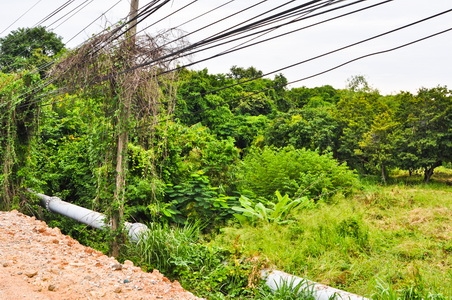 ขายที่ดินบนเนินเขาเนื้ออที่ 12-1-14 ไร่ ลาดลงสู่ชายทะเล และชายหาดส่วนตัว ใกล้ตัวเมืองศรีราชา จ.ชลบุรี ขายที่ดินบนเนินเขาเนื้ออที่ 12-1-14 ไร่ ลาดลงสู่ชายทะเล และชายหาดส่วนตัว ใกล้ตัวเมืองศรีราชา จ.ชลบุรี