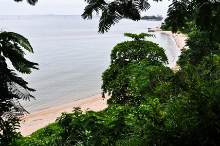 ขายที่ดินบนเนินเขาเนื้ออที่ 12-1-14 ไร่ ลาดลงสู่ชายทะเล และชายหาดส่วนตัว ใกล้ตัวเมืองศรีราชา จ.ชลบุรี ขายที่ดินบนเนินเขาเนื้ออที่ 12-1-14 ไร่ ลาดลงสู่ชายทะเล และชายหาดส่วนตัว ใกล้ตัวเมืองศรีราชา จ.ชลบุรี