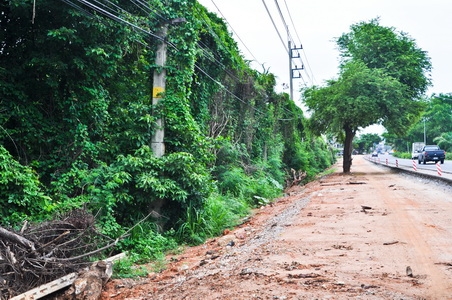 ขายที่ดินบนเนินเขาเนื้ออที่ 12-1-14 ไร่ ลาดลงสู่ชายทะเล และชายหาดส่วนตัว ใกล้ตัวเมืองศรีราชา จ.ชลบุรี ขายที่ดินบนเนินเขาเนื้ออที่ 12-1-14 ไร่ ลาดลงสู่ชายทะเล และชายหาดส่วนตัว ใกล้ตัวเมืองศรีราชา จ.ชลบุรี