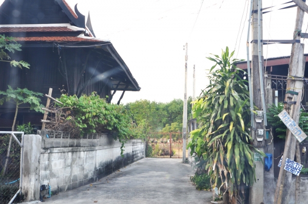 ขายที่ดินติดชายทะเล ติดกับสถานพักฟื้นกรมตำรวจ พัทยา อ.บางละมุง จ.ชลบุรี ขายที่ดินติดชายทะเล ติดกับสถานพักฟื้นกรมตำรวจ พัทยา อ.บางละมุง จ.ชลบุรี