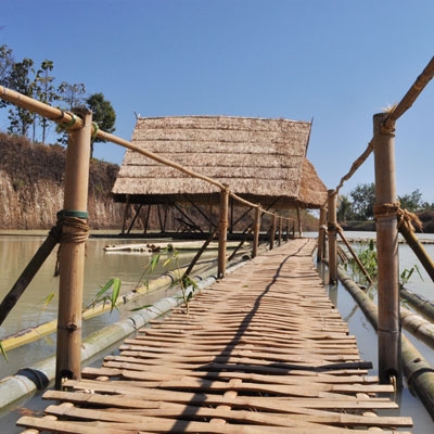 ขายบ้านพร้อมที่ดินเนื้อที่ 200 ตรว ใกล้โรงพยาบาลป่าซาง ลำพูน