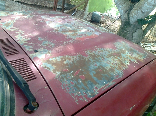 ลองขายดูเผื่อมีคนเอาไปทำสีอย่างเดียวไมตี้เอ็กปี94/2537 รถขี่ดีวิ่งดีช่วงล่างยังใช้ได้อีกนานสีแตกร่อนแต่แทบจะไม่ ผุ ไม่ บุบ คัสซีสวยแห้งๆ ตามรูปโดยรวมทรงยังสวยทำสีอย่างเดียวจบครับ