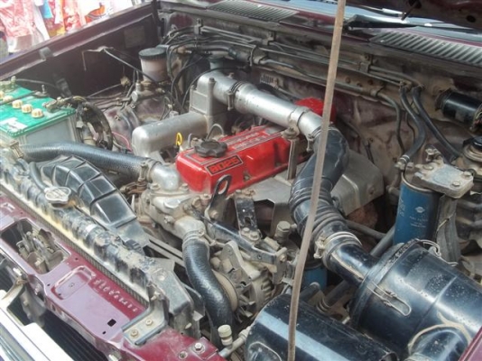 นิสสันตอนเดียว นิสสันตอนเดียว