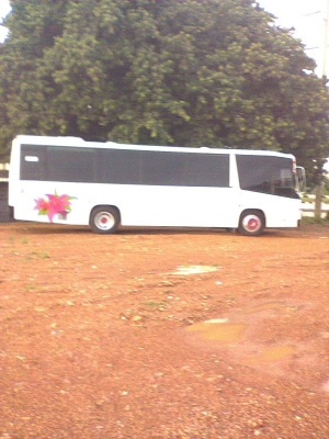 ขายรถบัสราคาถูกจำนวนมาก