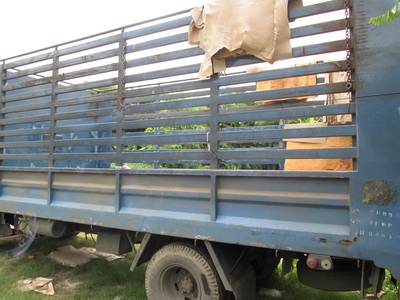 ขาย Isuzu NPR 115แรงม้า ยาว5ม.รถห้าง ปี95. ขาย Isuzu NPR 115แรงม้า ยาว5ม.รถห้าง ปี95.