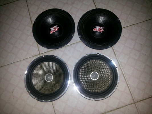 ขายดอกลำโพง6นิ้วราคาถูกมี4ดอก