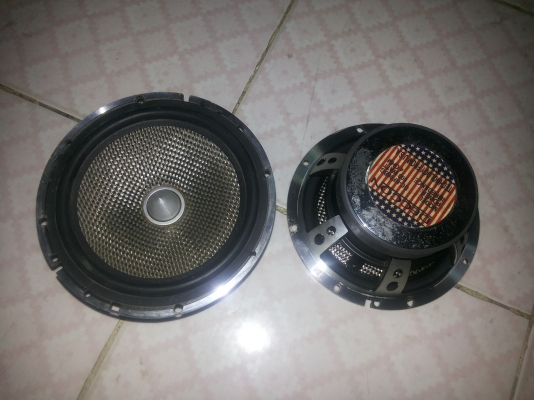 ขายดอกลำโพง6นิ้วราคาถูกมี4ดอก