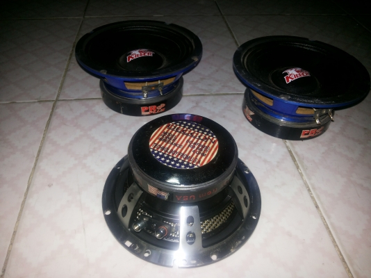 ขายดอกลำโพง6นิ้วราคาถูกมี4ดอก