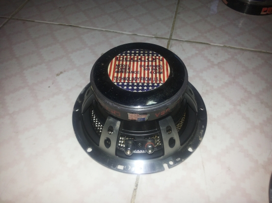 ขายดอกลำโพง6นิ้วราคาถูกมี4ดอก