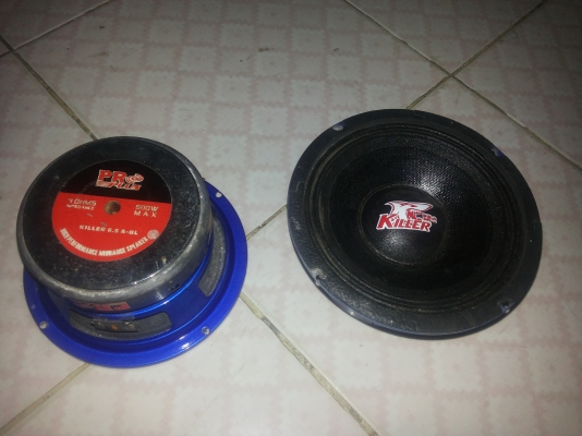 ขายดอกลำโพง6นิ้วราคาถูกมี4ดอก