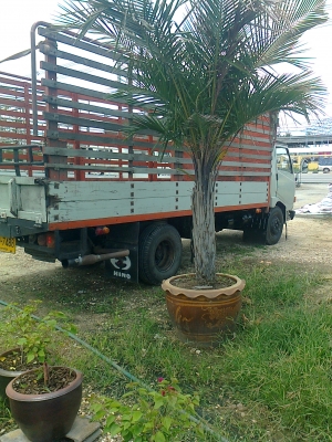 ลดกระหน่ำ  6 ล้อเหลือเพียง 430000 บาท HINO FB 113 สภาพพร้อมใช้ ต้องการใช้เงิน ซื้อจริงลดได้อีก!