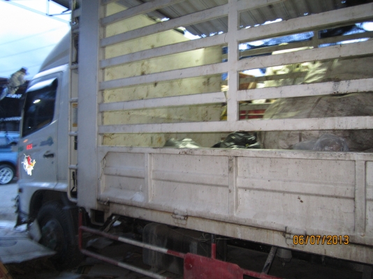 FC-9JLLA-เครื่อง175,มือ1ออกห้างสภาพสวยพร้อมใช้6,50เมตร FC-9JLLA-เครื่อง175,มือ1ออกห้างสภาพสวยพร้อมใช้6,50เมตร