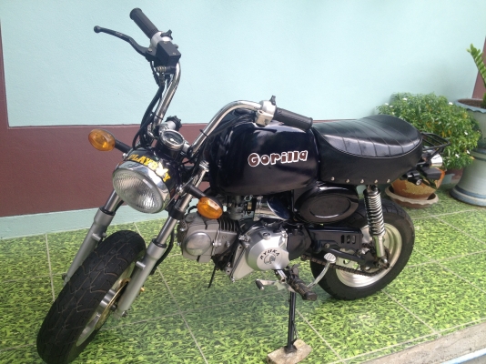 ขายกอลิล่า มีทะเบียน/โอน ลดราคาแล้วจร้า