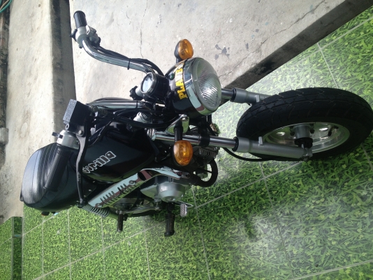 ขายกอลิล่า มีทะเบียน/โอน ลดราคาแล้วจร้า