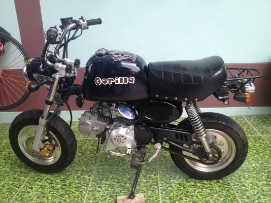 ขายกอลิล่า มีทะเบียน/โอน ลดราคาแล้วจร้า