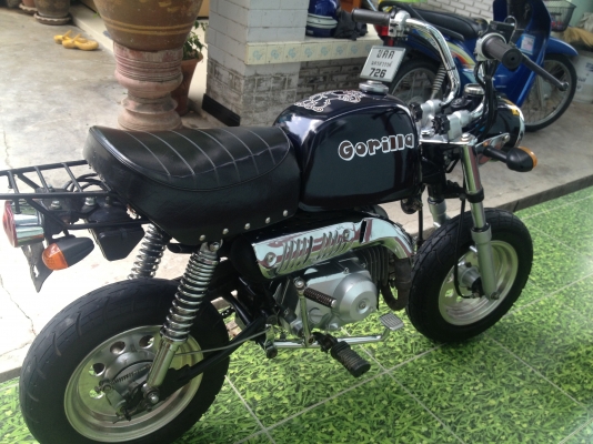 ขายกอลิล่า มีทะเบียน/โอน ลดราคาแล้วจร้า