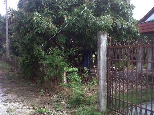 ขายบ้านพร้อมที่ดิน 2ห้องนอน 1ห้องน้ำ เขตชุมชน ไกล้ รพ.ป่าซาง