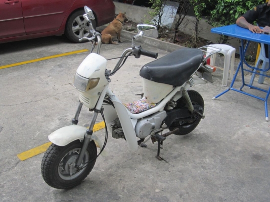 (รถฝากขายด่วน) Yamaha Chappy 50cc. สีขาวเดิมโรงงานหายากมากๆ เครื่องดีขี่มันส์ ถูกที่สุด กทม.