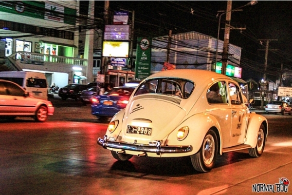 ขายเต่ารุ่นประหยัดแท้ 1967 ตาหวาน