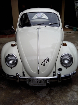 ขายเต่ารุ่นประหยัดแท้ 1967 ตาหวาน