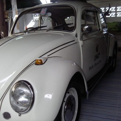 ขายเต่ารุ่นประหยัดแท้ 1967 ตาหวาน
