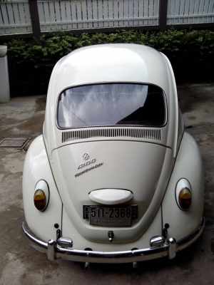 ขายเต่ารุ่นประหยัดแท้ 1967 ตาหวาน