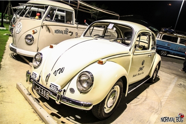 ขายเต่ารุ่นประหยัดแท้ 1967 ตาหวาน