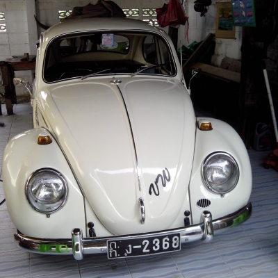 ขายเต่ารุ่นประหยัดแท้ 1967 ตาหวาน