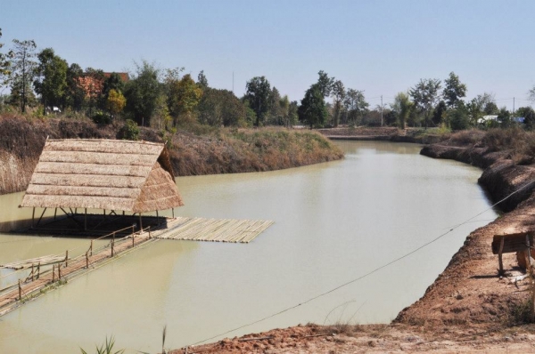 ขายที่ดิน ธรรมชาติ วิวดอย12 ไร่ ที่น้ำแพร่ หางดง เชียงใหม่