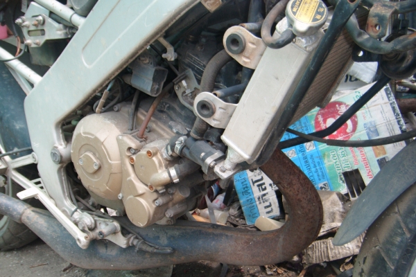 ขาย คาจิว่า ทรงสปอร์ท ตามสภาพ โปรอาร์มหน้า หลัง ขาย คาจิว่า ทรงสปอร์ท ตามสภาพ โปรอาร์มหน้า หลัง