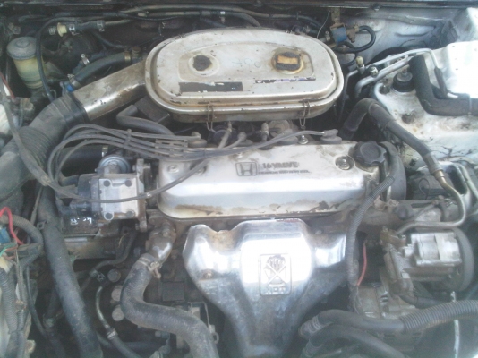 HONDA accord ตราเพชร 90000 เกียร์ออโต้ ติดแก๊ส LPG เดิมๆ ทุกอย่างแอร์เย็นเจี๊ยบ HONDA accord ตราเพชร 90000 เกียร์ออโต้ ติดแก๊ส LPG เดิมๆ ทุกอย่างแอร์เย็นเจี๊ยบ