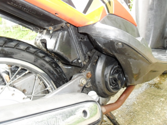 ขายมีโอ