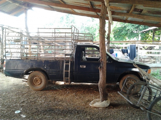 ***ขายแล้วครับขอบคุณ Truck2hand ขาย มังกรทองตอนเดียว 90HP ราคาเบาๆ ISUZU SPARK EX 2.5 ปี35/92 เครื่องเดิม4JA1 2.5 90HP แห้ง แรงดี ติดง่ายไม่มีเยิ้ม ช่วงล่างดี คัสซีได้ มีเริมผุนิดๆช่วงปลายโช๊คหลังไปท้าย กระบะผุต้องเปลี่ยน หัวบางสีเดิมภายในดีคอนโซลครบ แอร์